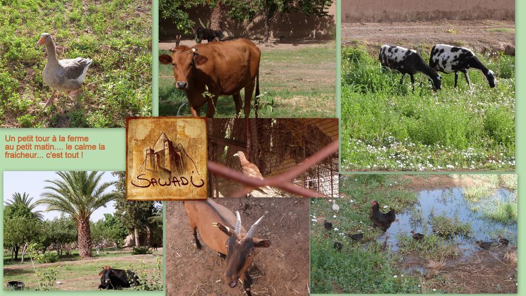 Sawadi Ecolodge Skoura Exterior photo